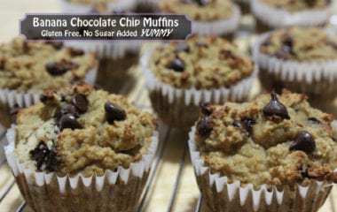 nutraphoria banana chocolate chip muffins gluten free