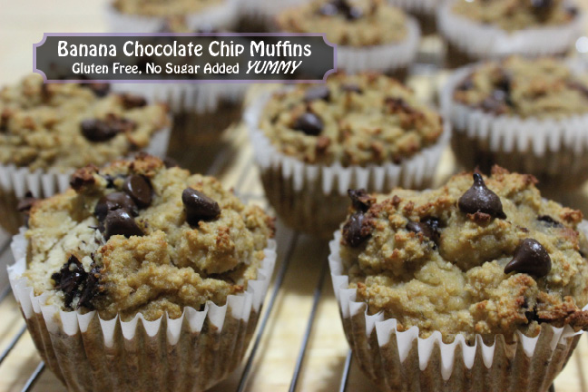 nutraphoria banana chocolate chip muffins gluten free
