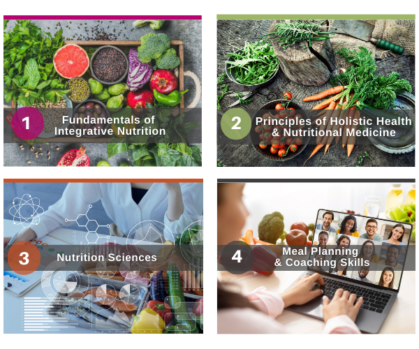four nutrition courses health coach program four nutrition courses health coach program