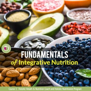 holistic nutrition course nutraphoria