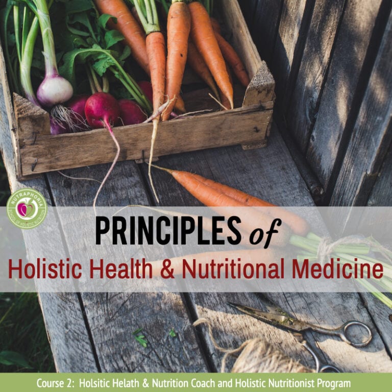 holistic nutrition course nutraphoria