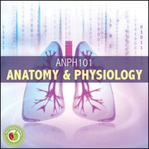 anatomy physiology course nutraphoria