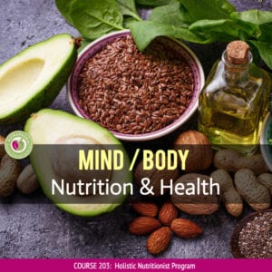 mind body nutrition course nutraphoria