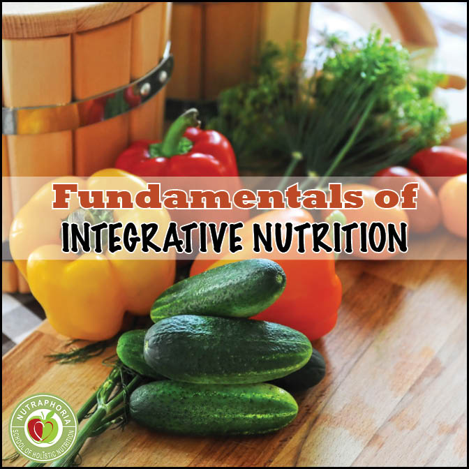 Fundamentals of Integrative Nutrition NutraPhoria School of Holistic