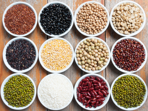vegan protein combinations nutraphoria school of holistic nutrition