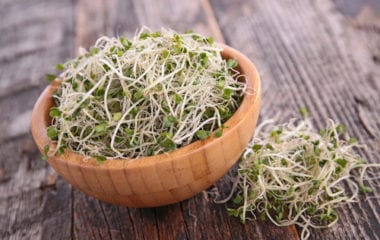 grow broccoli sprouts nutraphoria school of holistic nutrition