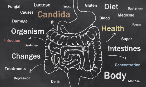 Candida Overgrowth Nutraphoria