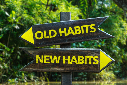 healthy habits nutraphoria school of holistic nutrition