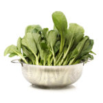 large-isolated-greens-in-strainer-vegetable