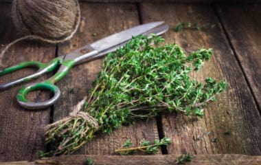 benefits of thyme nutraphoria school of holistic nutrition