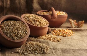soaking grains nutraphoria school of holistic nutrition