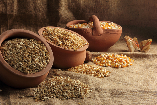 soaking grains nutraphoria school of holistic nutrition