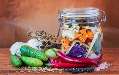 Lacto-fermentation Nutraphoria