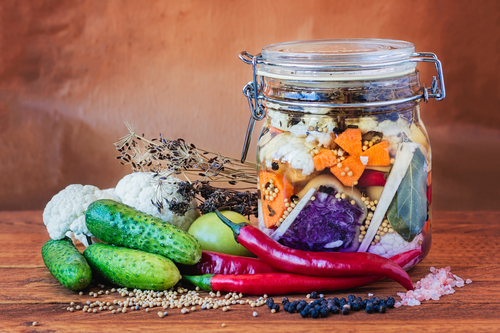 Lacto-fermentation Nutraphoria
