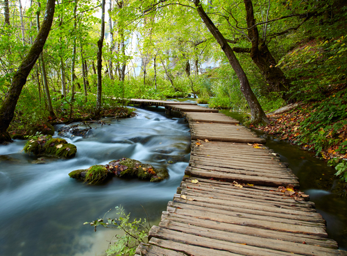 benefits of connecting with nature nutraphoria school of holistic nutrition