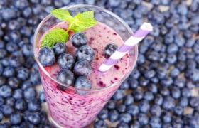 blueberry smoothie recipe nutraphoria school of holistic nutrition