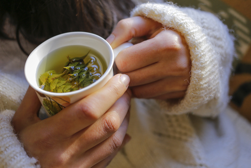 simple tea nutraphoria