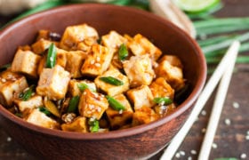 what is tofu nutraphoria