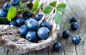 Wild Blueberries Nutraphoria