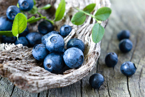 Wild Blueberries Nutraphoria
