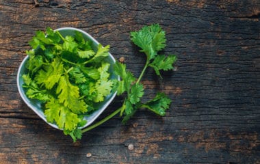 Benefits of Cilantro Nutraphoria