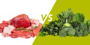 NutraPhoria School of Holistic Nutrition | The Protein Controversy: Vegan vs Omnivore