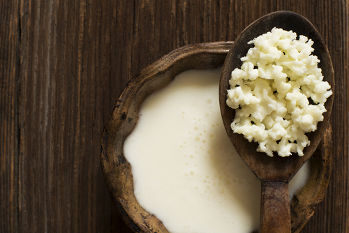 Kefir Nutraphoria