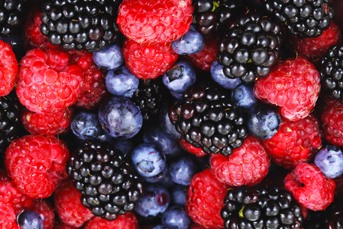 Berry Ice cream Nutraphoria