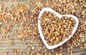 6 Amazing Plant-Based Protein Sources Nutraphoria