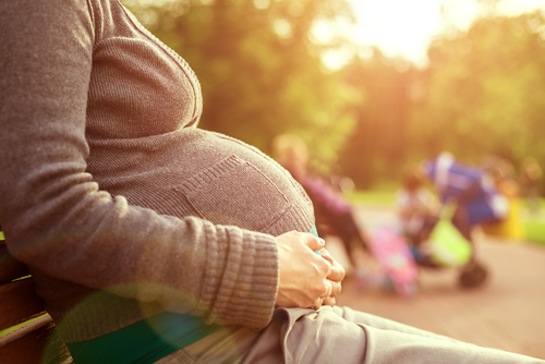 Baby Brain Nutraphoria