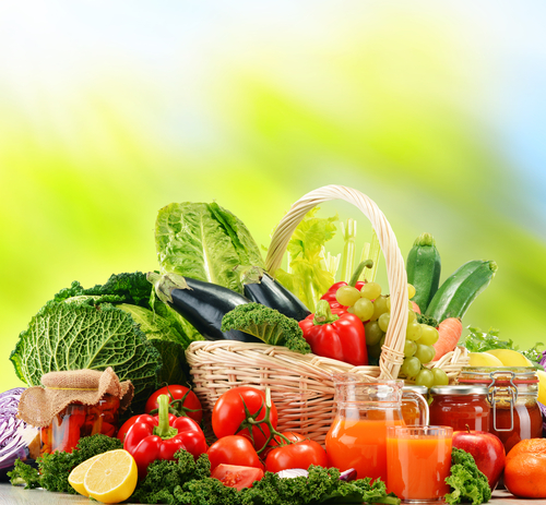 Plant Based Diet Nutraphoria
