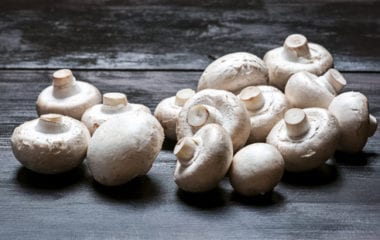 Benefits of Mushrooms Nutraphoria