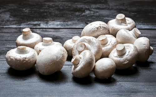 Benefits of Mushrooms Nutraphoria
