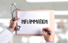 Foods to stop inflammation Nutraphoria