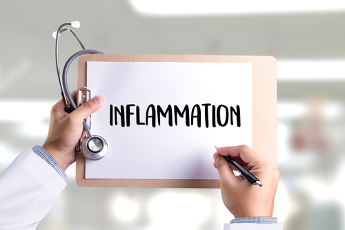 Foods to stop inflammation Nutraphoria