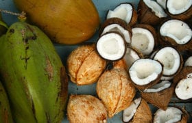 Go nuts for Coconuts Nutraphoria
