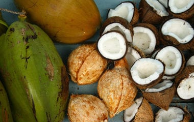 Go nuts for Coconuts Nutraphoria