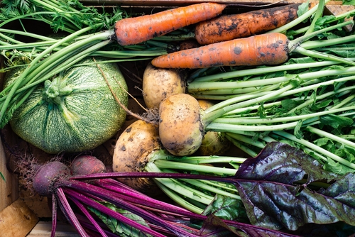 Gardening 101 Nutraphoria
