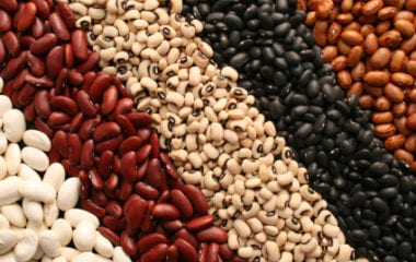 Beans Nutraphoria