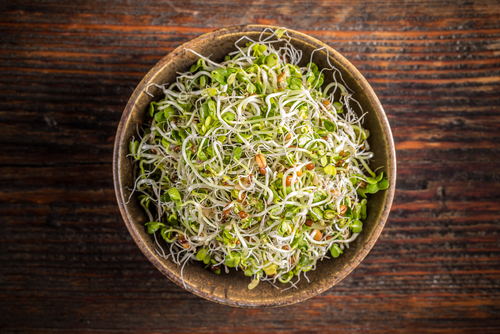 Sprouting Nutraphoria