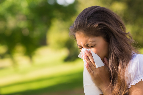 Natural Antihistamines Nutraphoria