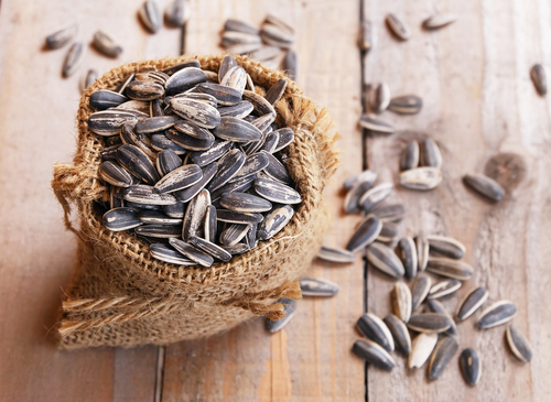Sunflower Seeds Nutraphoria