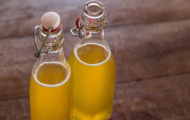 Benefits of Kombucha Nutraphoria