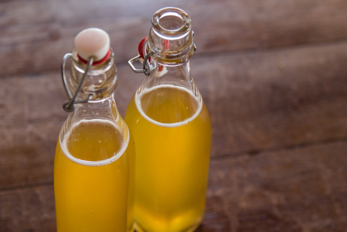 Benefits of Kombucha Nutraphoria