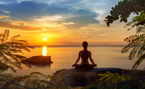 From Disordered to Holistic Nutraphoria