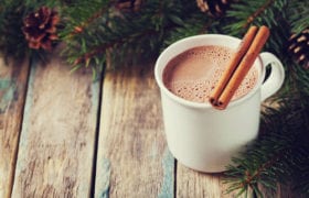 Hot Cocoa For One Nutraphoria