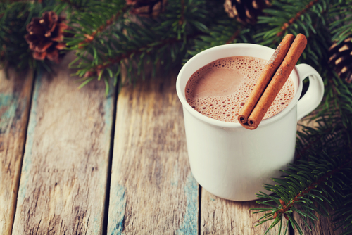 Hot Cocoa For One Nutraphoria