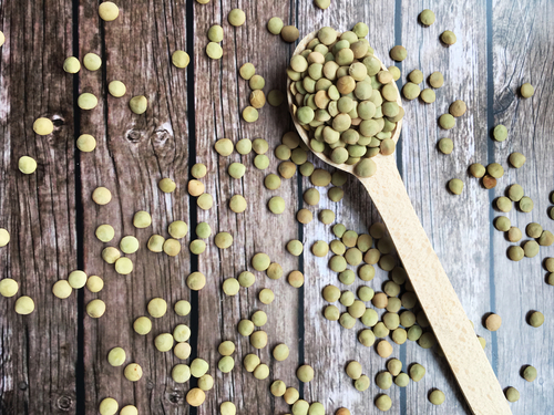 Lentil Casserole Nutraphoria