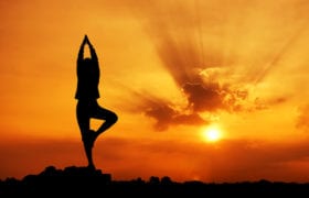 Easy Yoga Nutraphoria