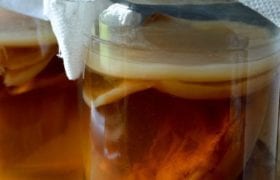 Kombucha Nutraphoria